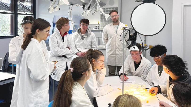 Pupils and teachers work together on an experiment