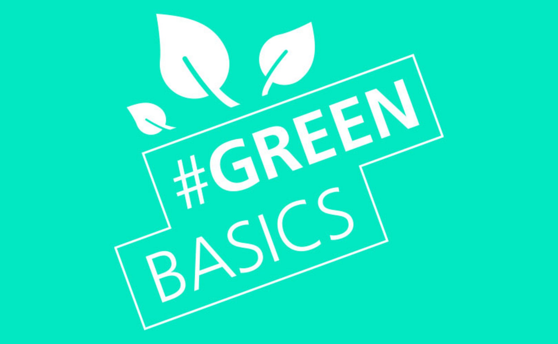 GreenBasics Illustration