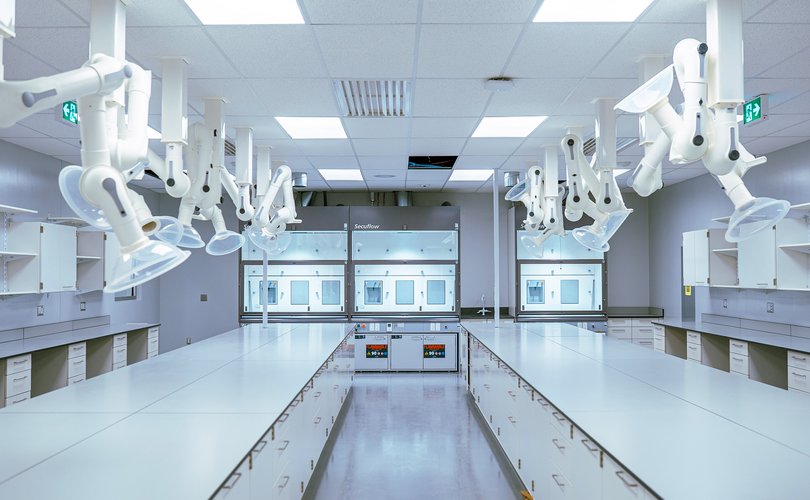 Toronto Research Chemicals Labor Toronto Research Chemicals Labor