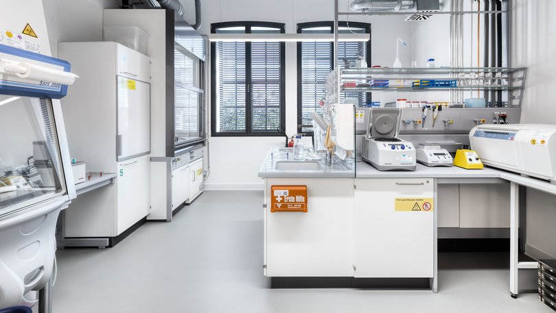 Laborraum mit Abzug und Medienträger