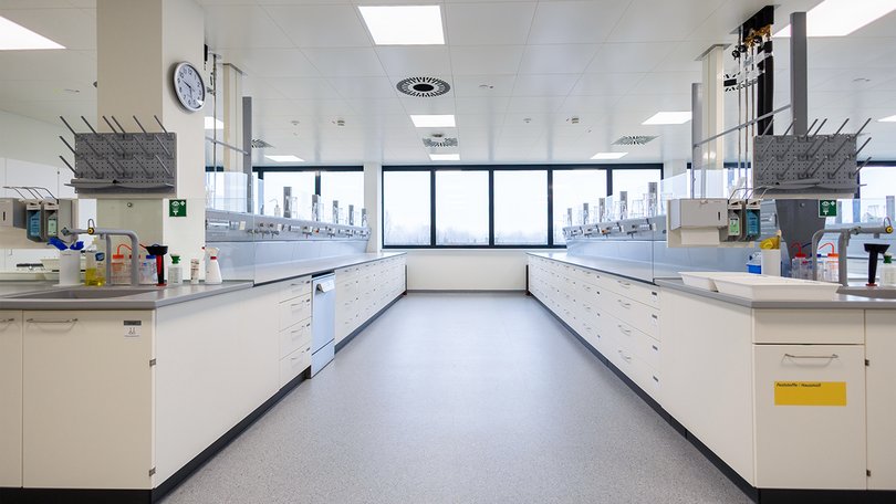 Labor-Arbeitsinseln mit Fenster