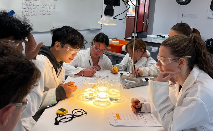 Pupils carry out an experiment