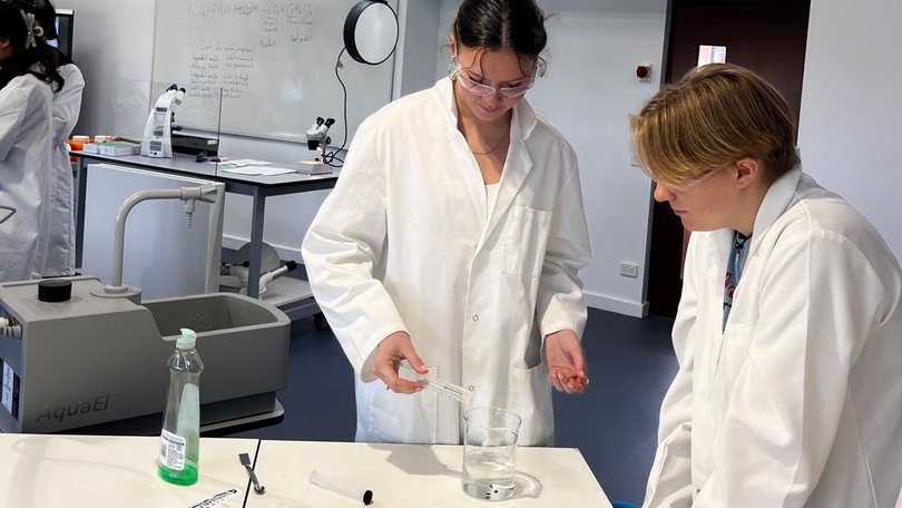 Zwei Schüler beim Experimentieren