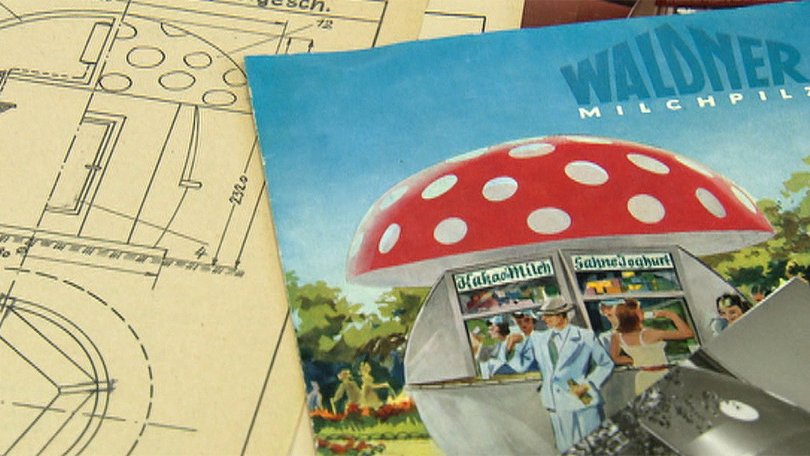 Milk mushroom picture and illustration