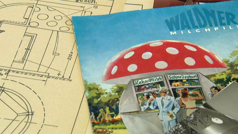 Milk mushroom picture and illustration