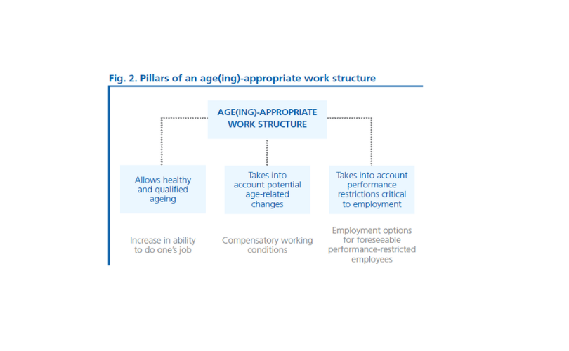 Pillars of an age-appropriate work structure