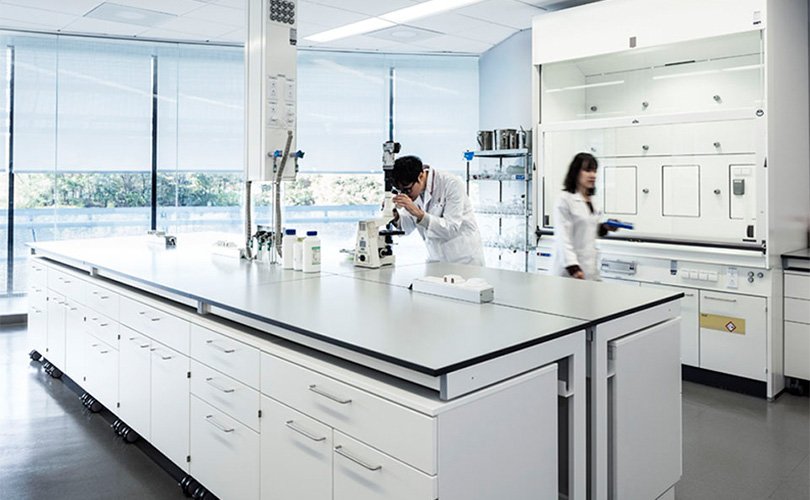 Modernes Labor mit Arbeitsplätzen, Laborgeräten und zwei Mitarbeitenden bei der Planung.