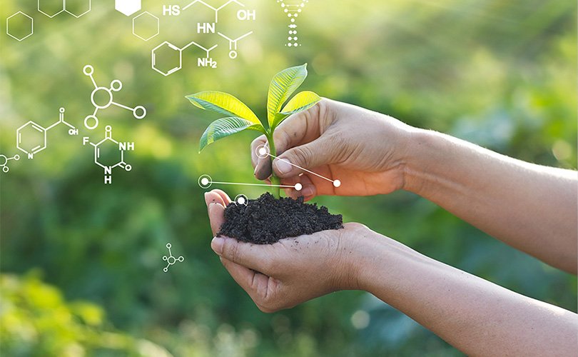 Hand hält kleine Pflanze mit Erde