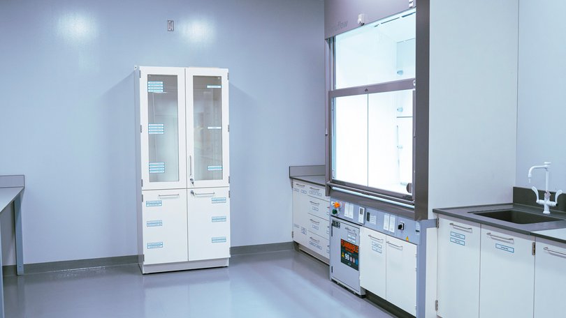 Laboratory cabinet and fume cupboard