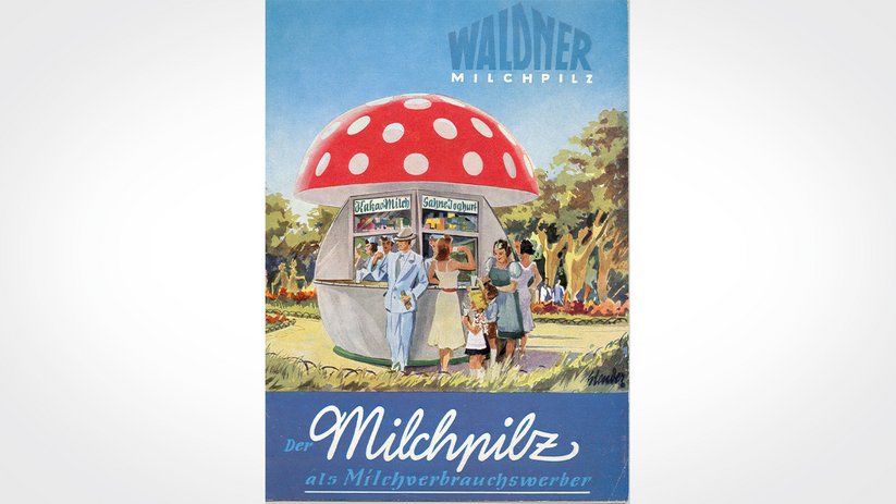 Waldner cover with milk mushroom