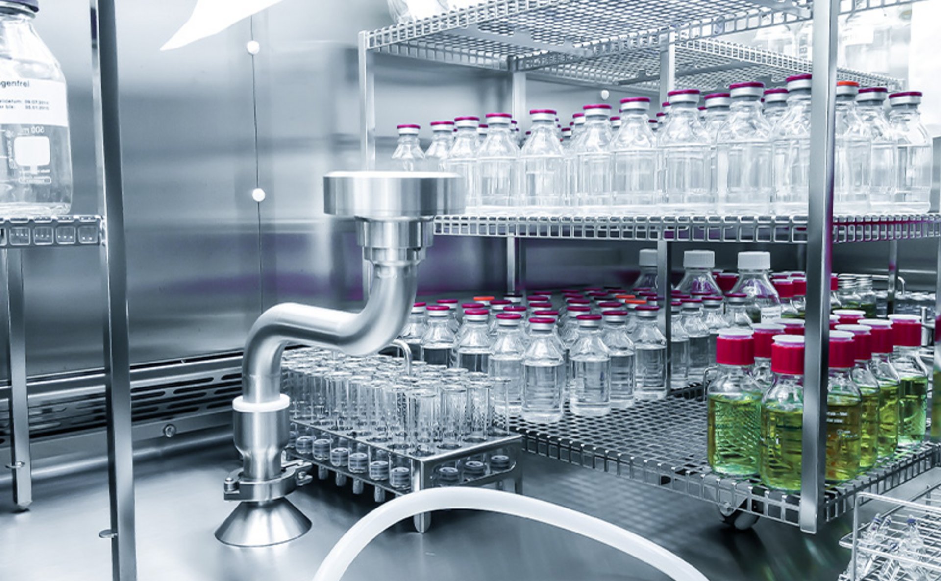 A close look at germs