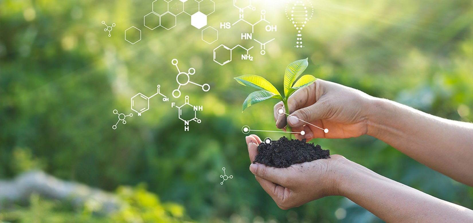 Green Lab Certifications Event Labcafé online Waldner Academy