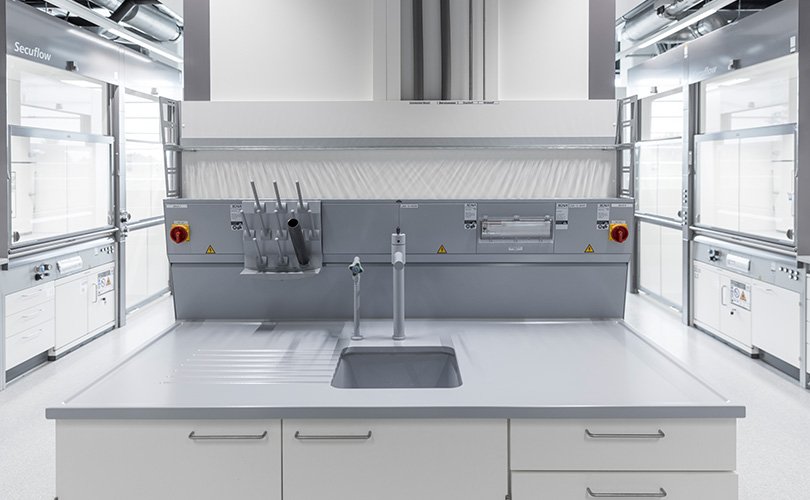 Laboratory sink