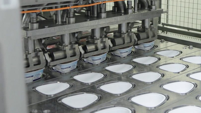 Filling cups on the production line