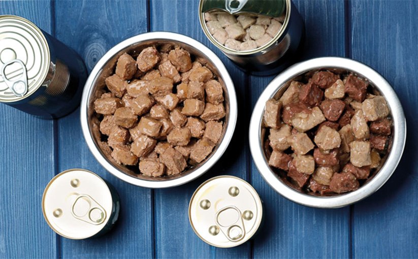 Bowls and cans with chunky pet food on a blue wooden background.