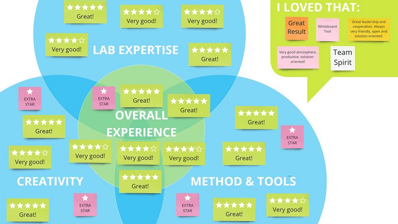 Grafik Darstellung Feedback