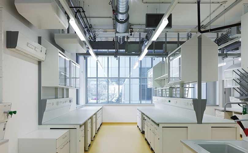 Laboratory with suspended cabinets and underbench cabinets